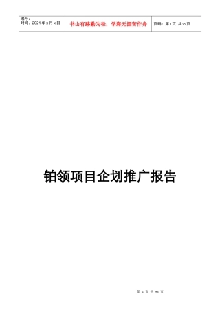 铂领项目企划推广报告