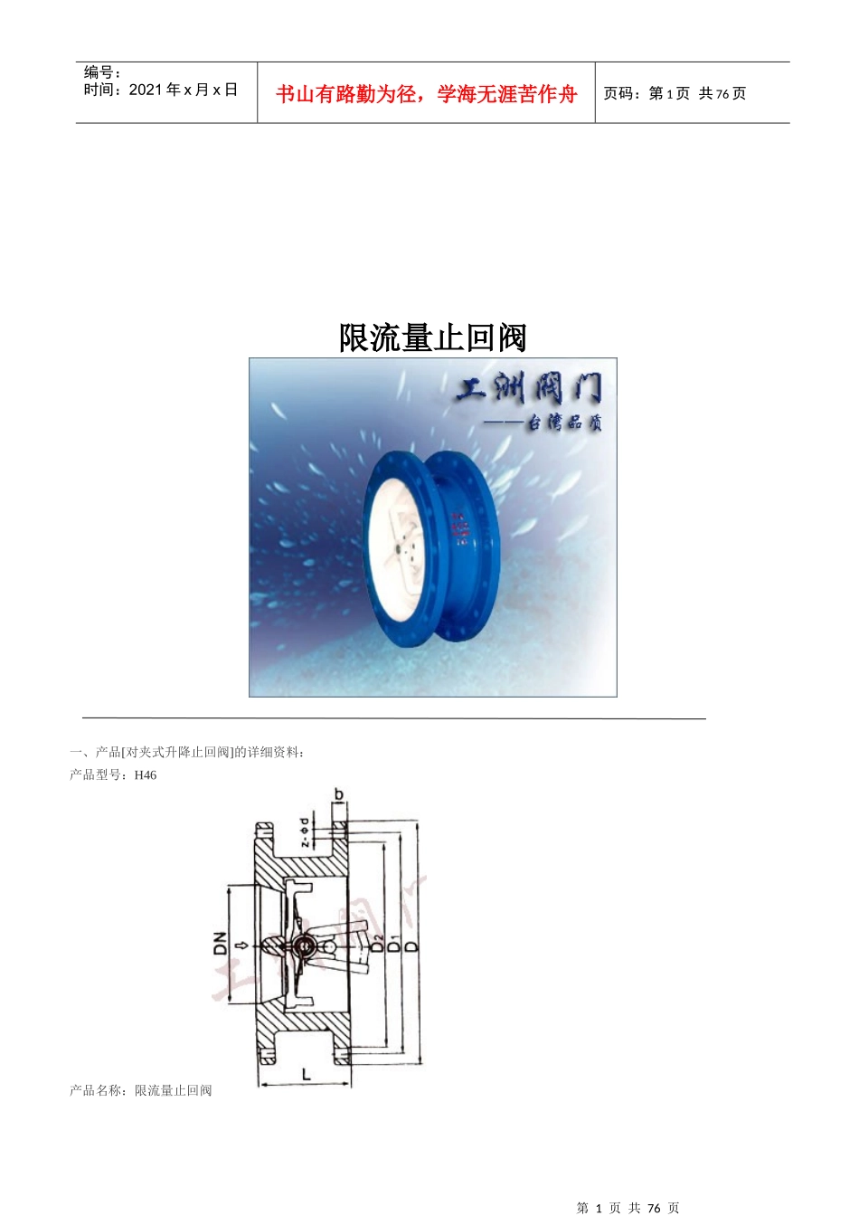 限流量止回阀分析_第1页