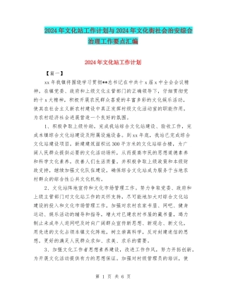 2024年文化站工作计划与2024年文化街社会治安综合治理工作要点汇编
