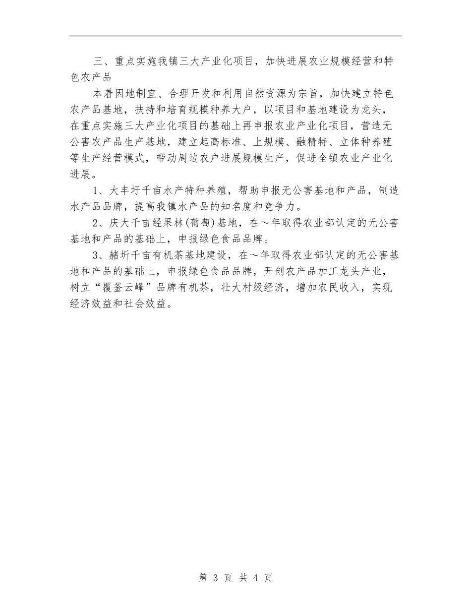 乡镇服务站年度工作计划_第3页