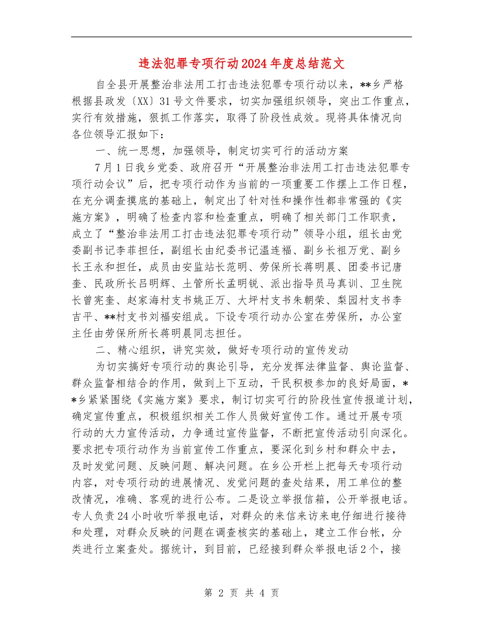 违法犯罪专项行动2024年度总结范文_第2页