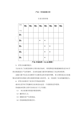 产品市场战略分析(5页)