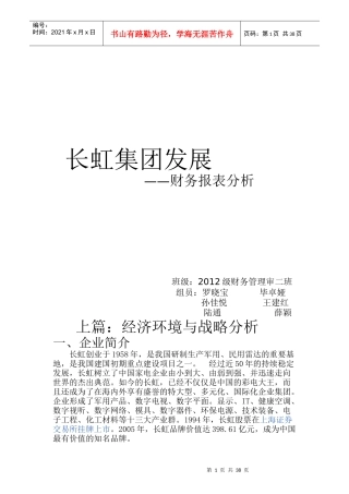 长虹集团发展