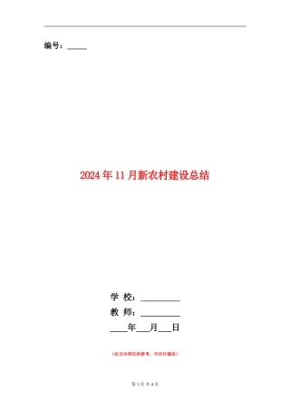2024年11月新农村建设总结