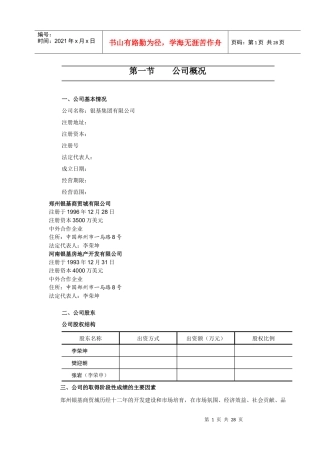 银基商业计划书