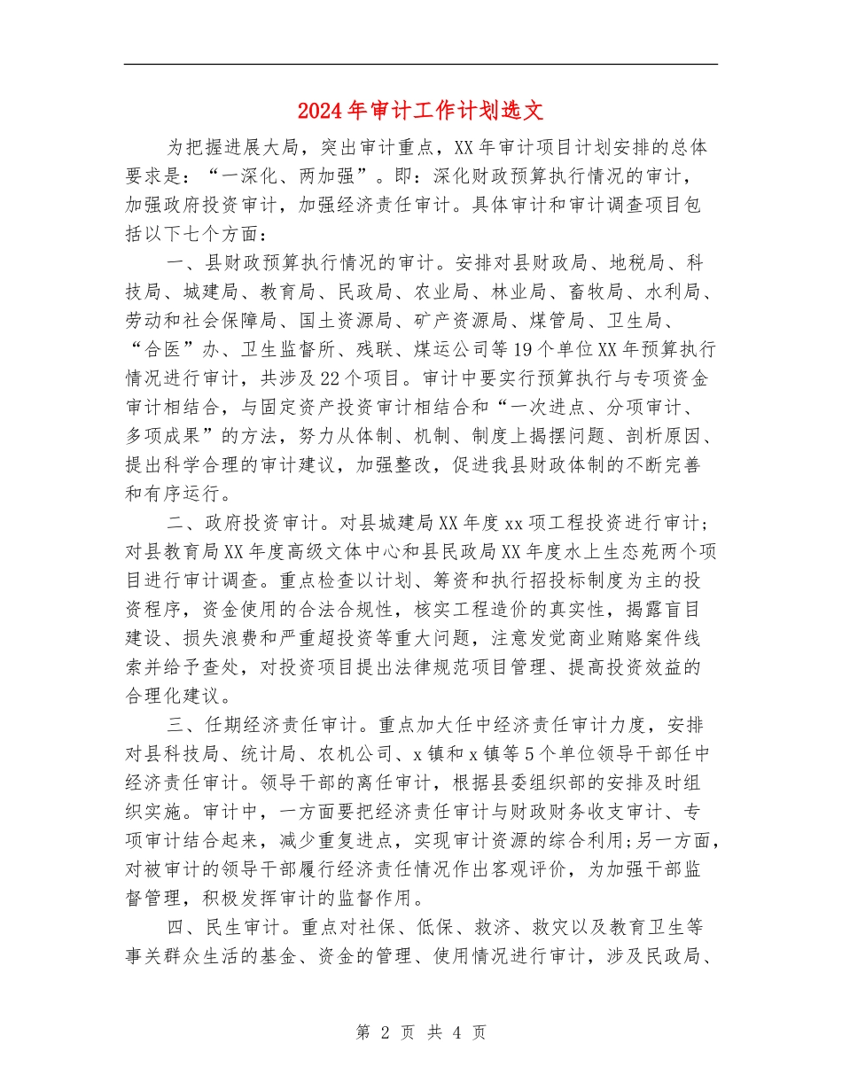 2024年审计工作计划选文_第2页