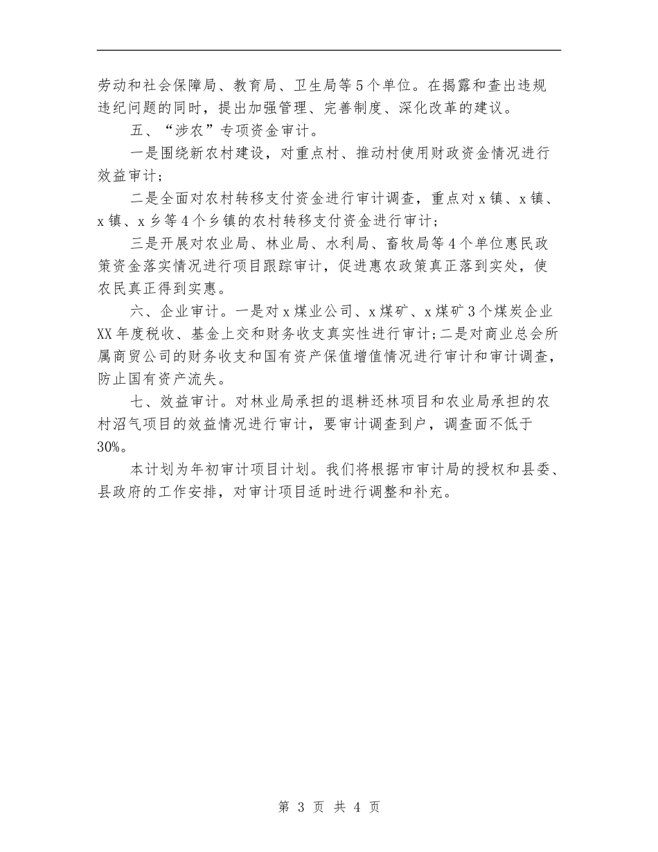2024年审计工作计划选文_第3页