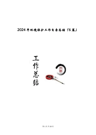 2024年环境保护工作自查总结