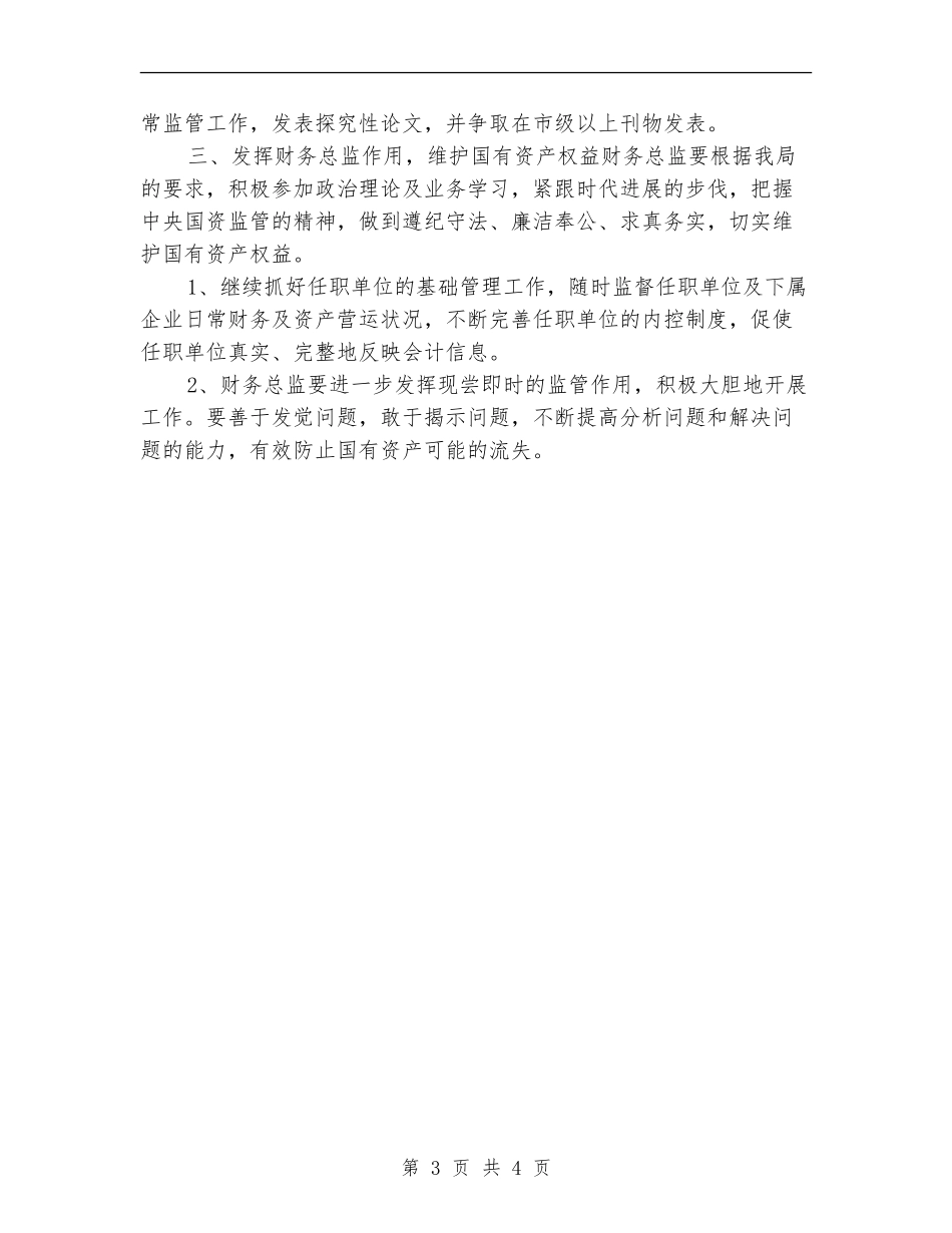 财务总监年度工作计划_第3页