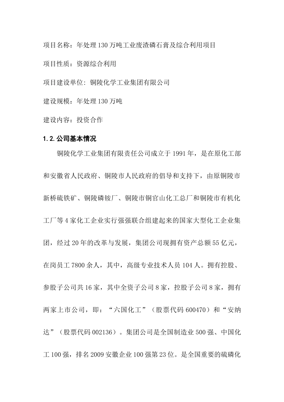 铜陵化学工业集团商业计划书_第3页