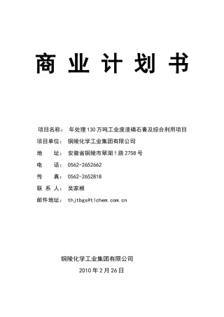 铜陵化学工业集团商业计划书