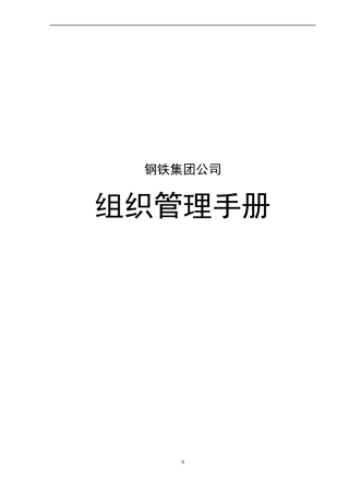钢铁集团公司组织管理手册