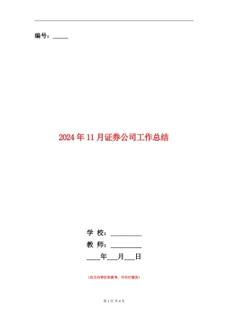 2024年11月证券公司工作总结