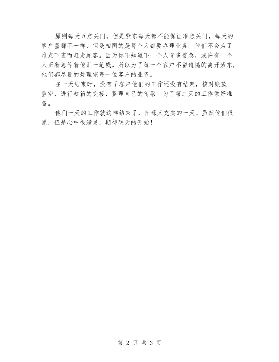 柜员一天工作总结报告_第2页