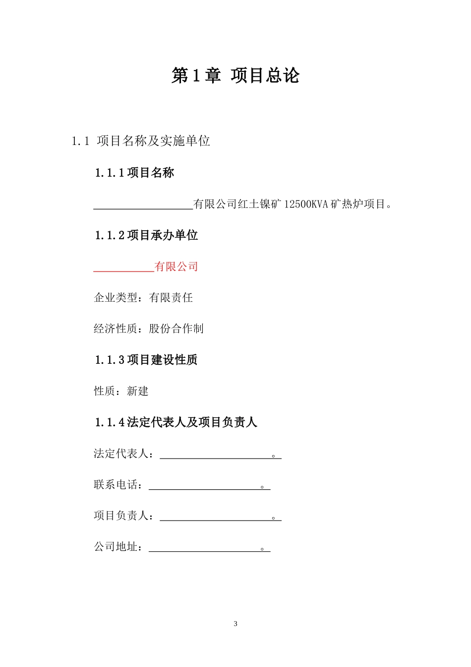 镍铁项目可行性研究报告_第3页