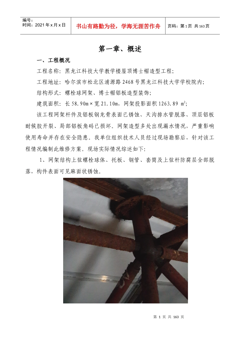 钢结构网架除锈投标方案_第1页