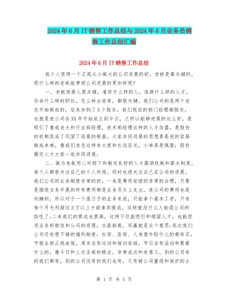 2024年6月IT销售工作总结与2024年6月业务员销售工作总结汇编