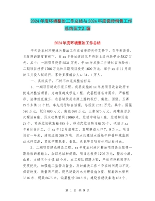 2024年度环境整治工作总结与2024年度瓷砖销售工作总结范文汇编