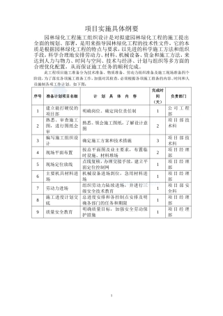 项目实施具体纲要(DOC9页)