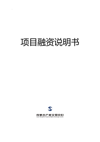 项目融资说明书
