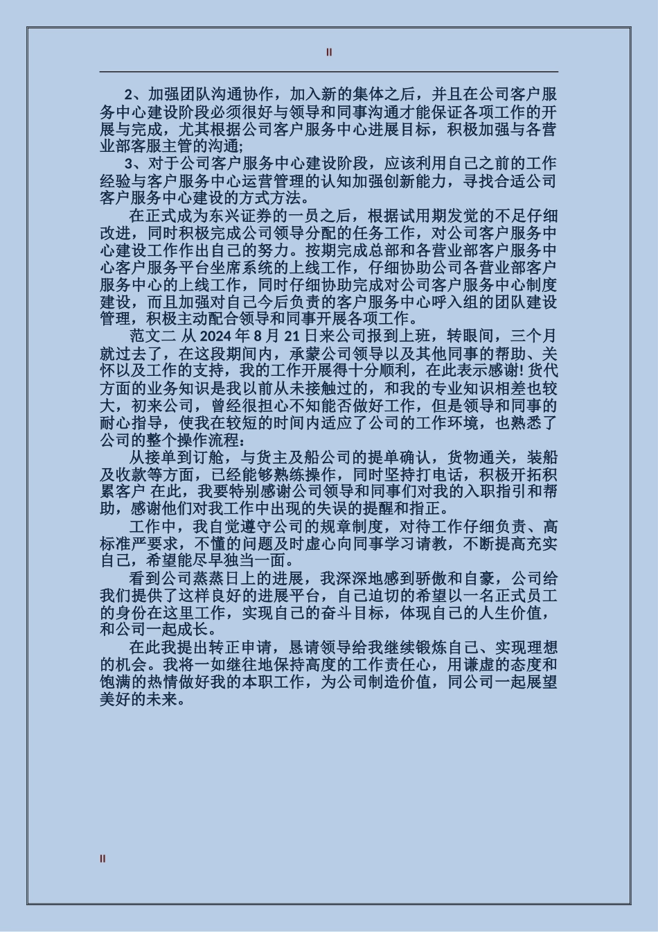 2024年it试用期转正工作总结范文_第2页