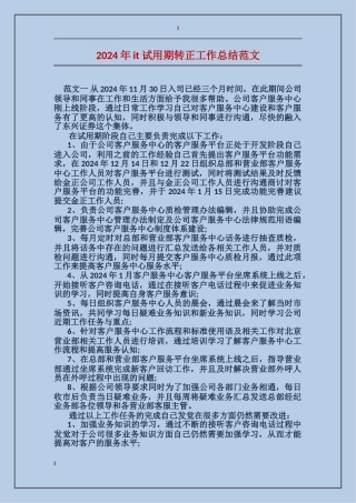 2024年it试用期转正工作总结范文