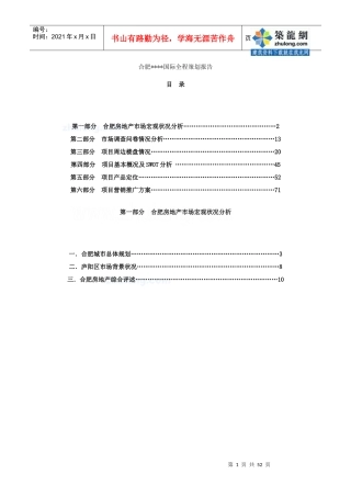项目全程策划报告