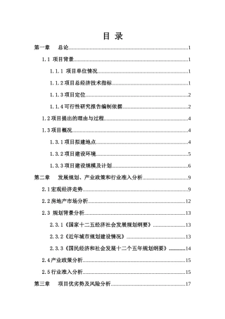 项目申请报告(1)