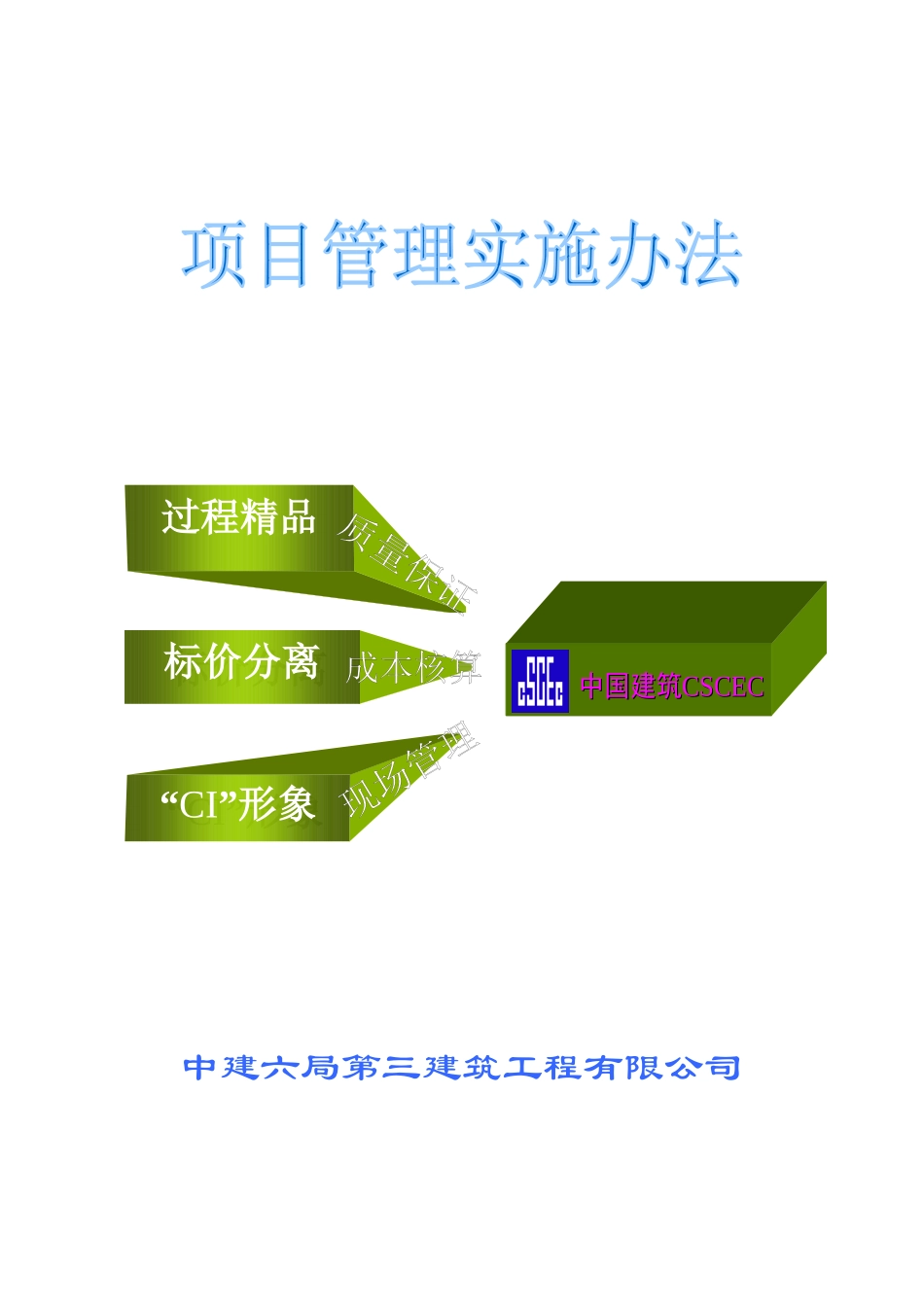 项目管理实施办法_第1页