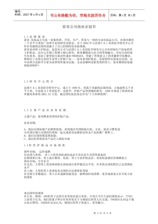 雷帝公司商业企划书