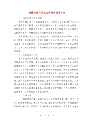 促进行政执法责任制指导方案