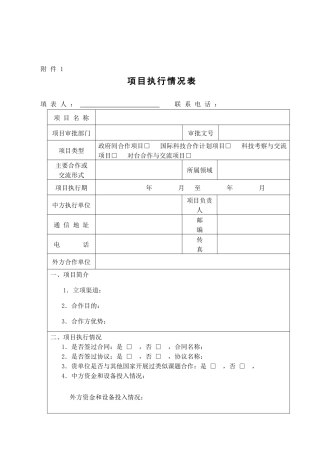 项目执行情况表