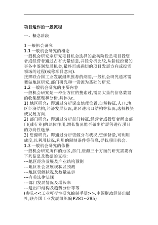 项目运作的流程