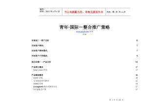 青年国际-整合推广策略