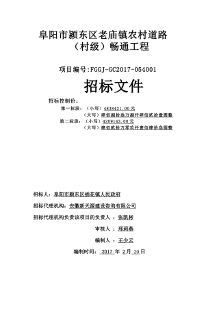 颍东区插花镇道路畅通工程