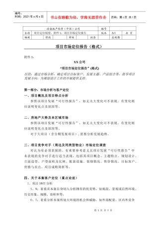 项目市场定位报告模版