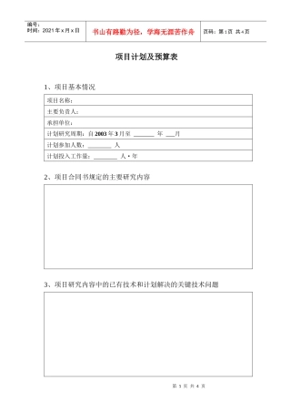 项目计划及预算表