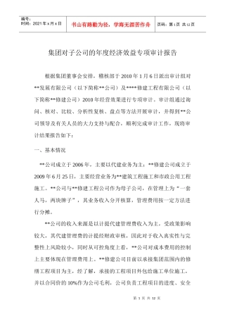 集团对子公司的年度经济效益专项审计报告模板