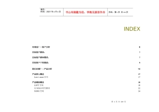 青年国际整合推广策略