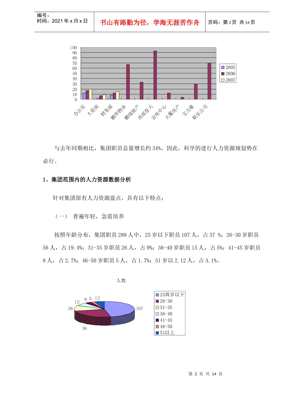 集团年度人力资源诊断报告_第2页