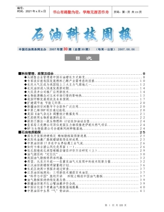 青年与创新石油工业的未来
