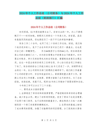 2024年个人工作总结(公司财务)与2024年个人工作总结(财政部门)汇编