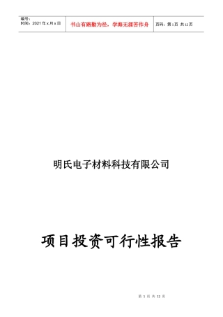 项目投资可行性报告