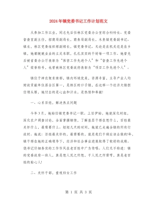 2024年镇党委书记工作计划范文