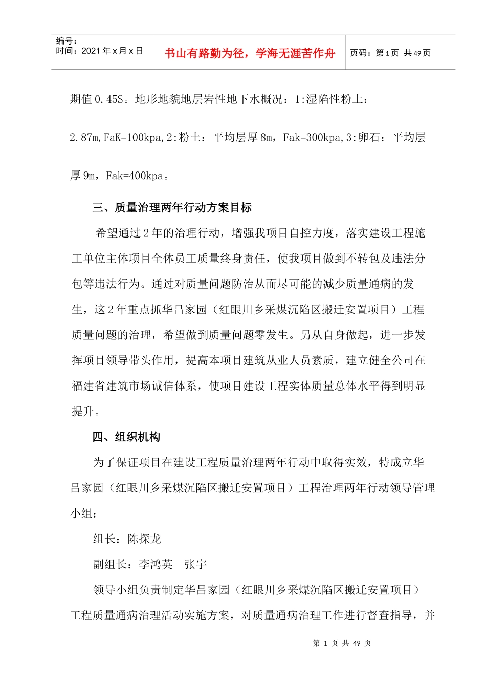 项目质量治理两年行动方案_第2页