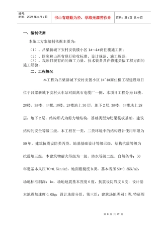 项目质量治理两年行动方案