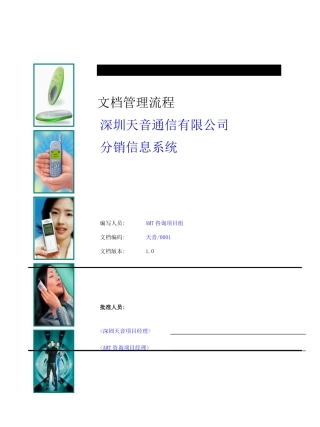 项目文档管理流程v1.0