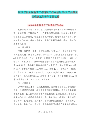 2024年县社区矫正工作情况工作总结与2024年县粮食局党建工作半年小结汇编