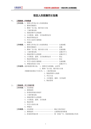 项目入市前操作计划(1)