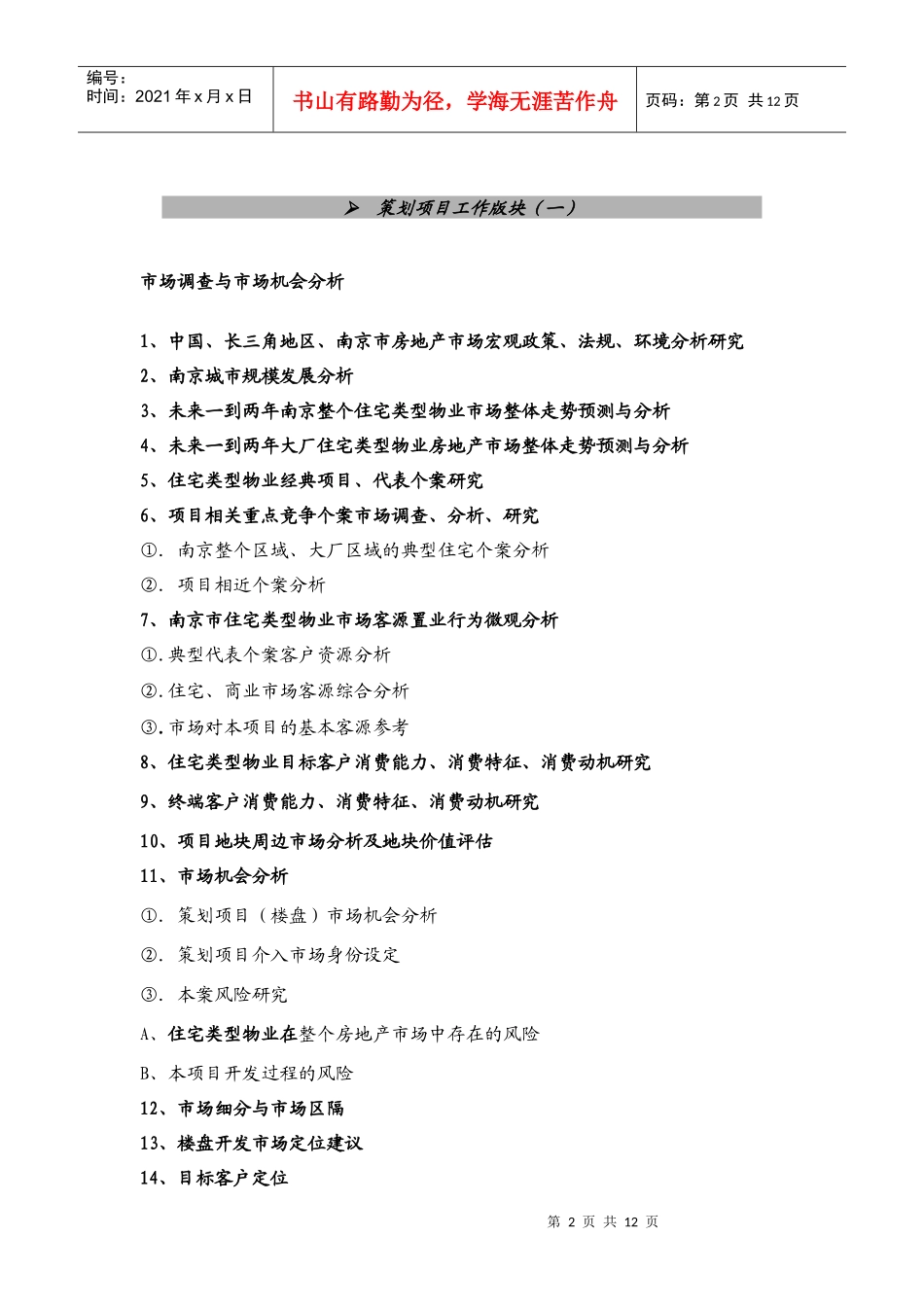 项目代理策略综合提纲_第2页